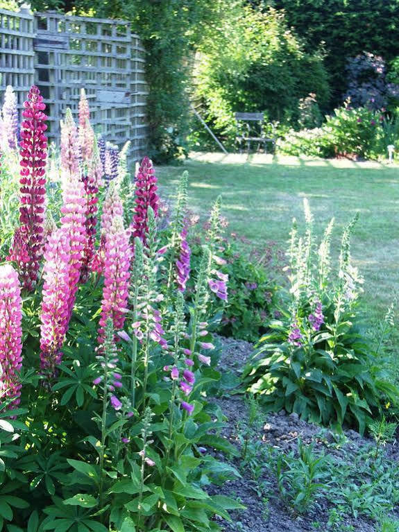 Catton Old Hall Bed & Breakfast Norwich Eksteriør bilde